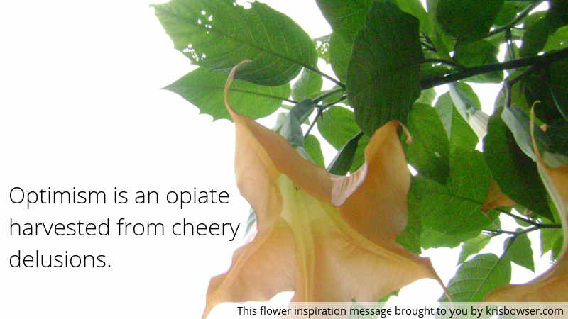 "Optimism is an opiate harvested from cheery delusions" flower picture.